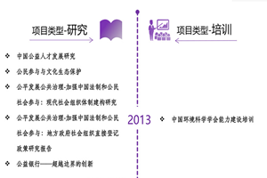 嗯啊,大鸡吧在线视频非评估类项目发展历程